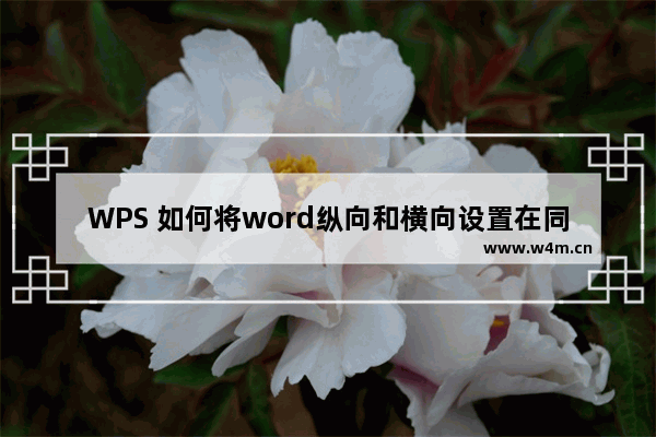 WPS 如何将word纵向和横向设置在同一页面