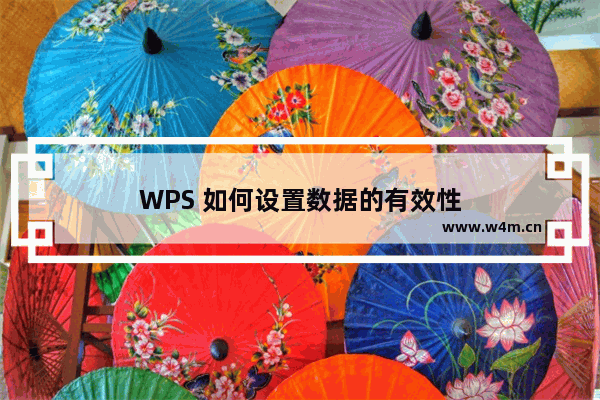 WPS 如何设置数据的有效性