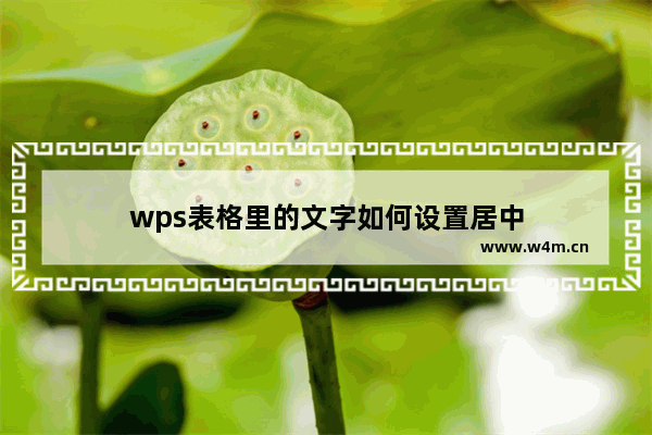 wps表格里的文字如何设置居中