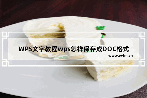 WPS文字教程wps怎样保存成DOC格式