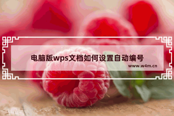 电脑版wps文档如何设置自动编号