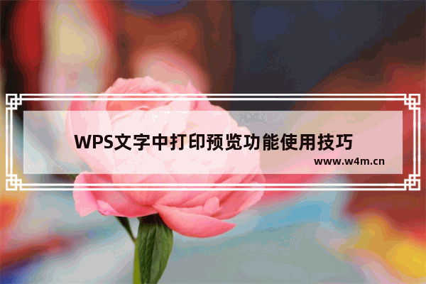 WPS文字中打印预览功能使用技巧