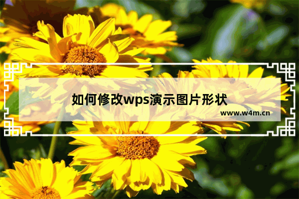 如何修改wps演示图片形状