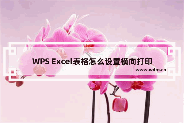 WPS Excel表格怎么设置横向打印