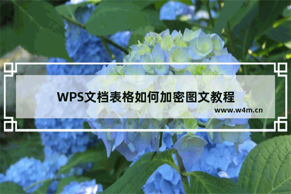 WPS文档表格如何加密图文教程