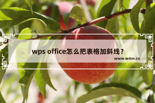 wps office怎么把表格加斜线？