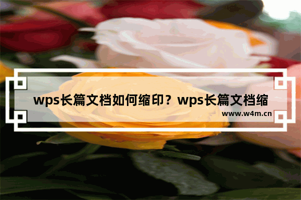 wps长篇文档如何缩印？wps长篇文档缩印的操作步骤