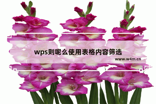 wps则呢么使用表格内容筛选