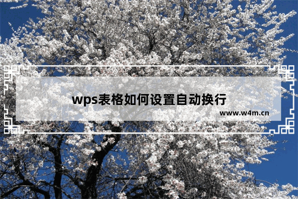 wps表格如何设置自动换行