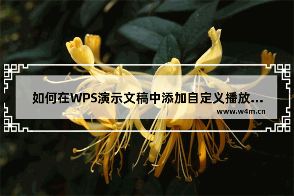 如何在WPS演示文稿中添加自定义播放按钮