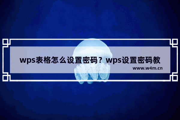 wps表格怎么设置密码？wps设置密码教程