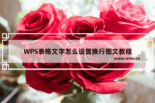 WPS表格文字怎么设置换行图文教程