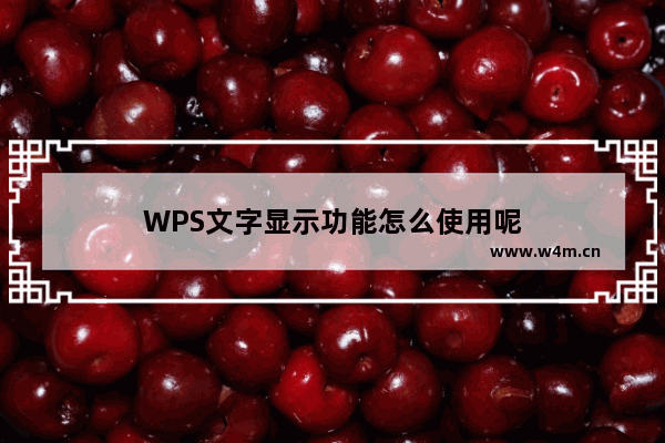 WPS文字显示功能怎么使用呢