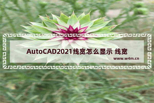 AutoCAD2021线宽怎么显示 线宽不显示解决方法