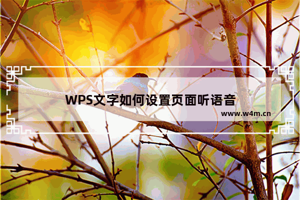 WPS文字如何设置页面听语音