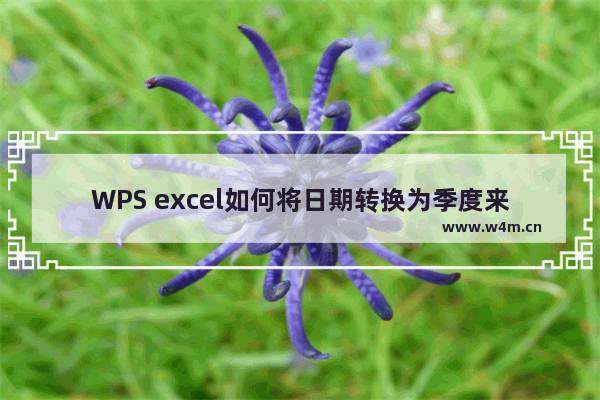 WPS excel如何将日期转换为季度来显示