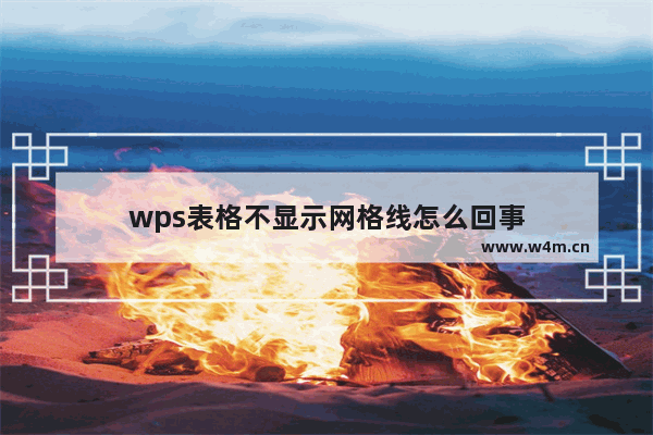 wps表格不显示网格线怎么回事