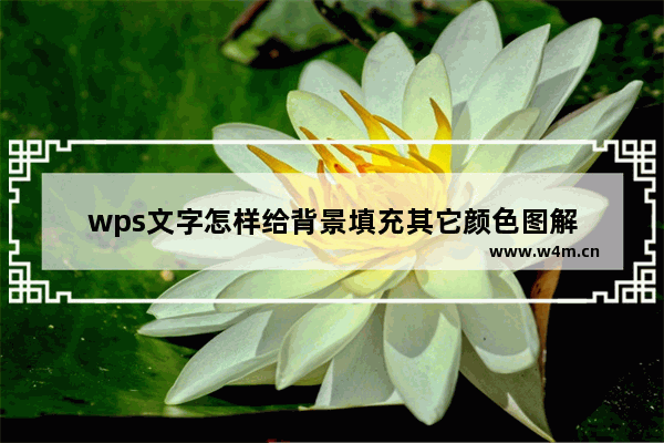 wps文字怎样给背景填充其它颜色图解