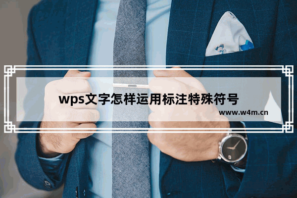 wps文字怎样运用标注特殊符号