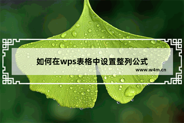 如何在wps表格中设置整列公式