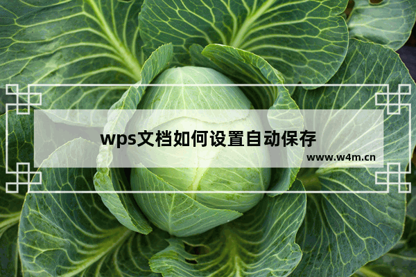 wps文档如何设置自动保存