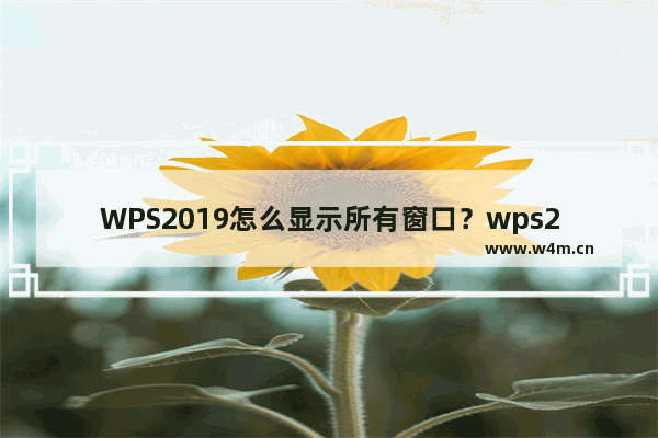 WPS2019怎么显示所有窗口？wps2019多窗口显示怎么设置