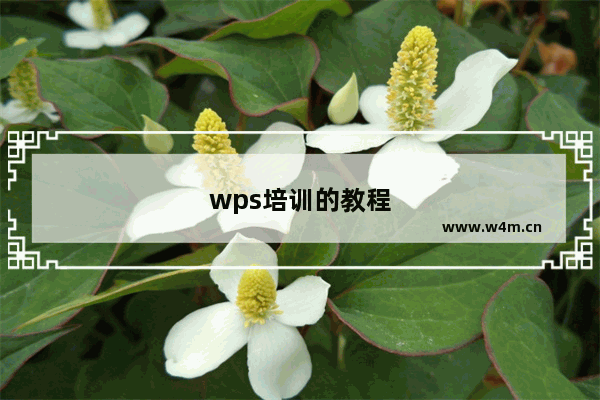 wps培训的教程