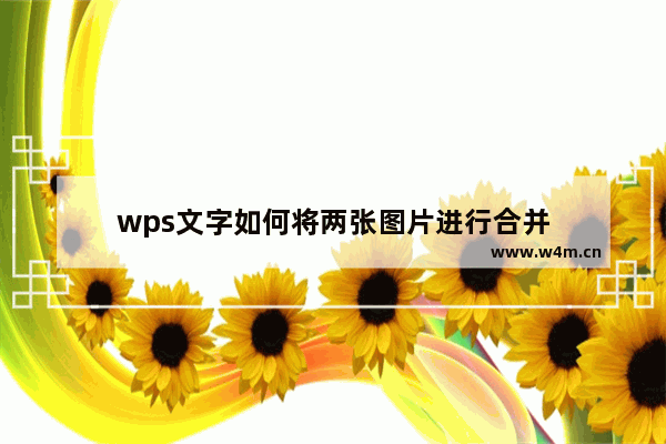 wps文字如何将两张图片进行合并