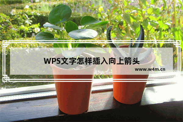 WPS文字怎样插入向上箭头