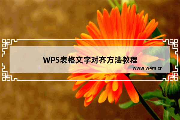 WPS表格文字对齐方法教程