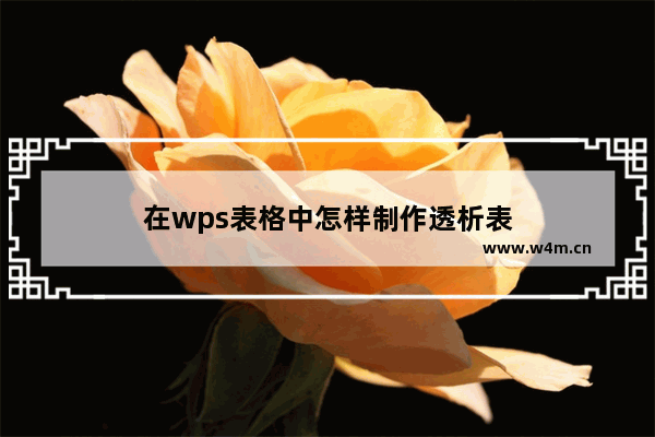 在wps表格中怎样制作透析表