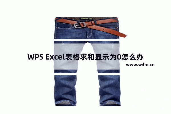 WPS Excel表格求和显示为0怎么办