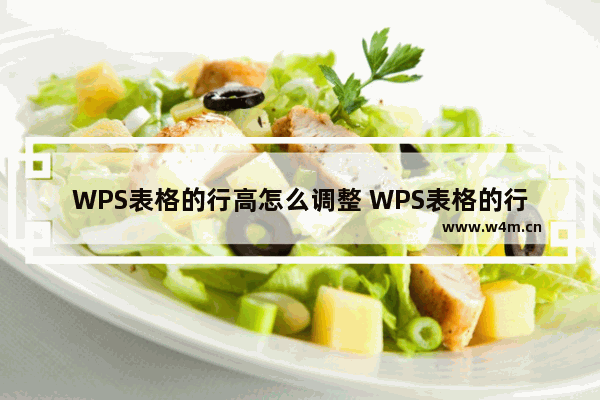 WPS表格的行高怎么调整 WPS表格的行高调整教学