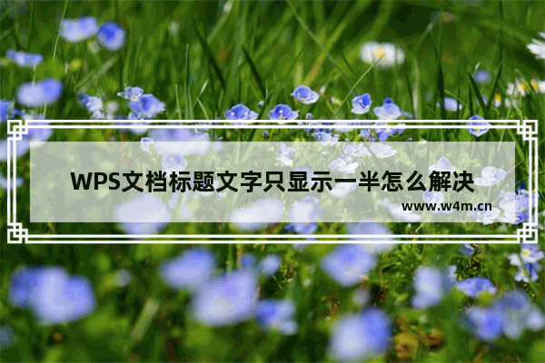 WPS文档标题文字只显示一半怎么解决