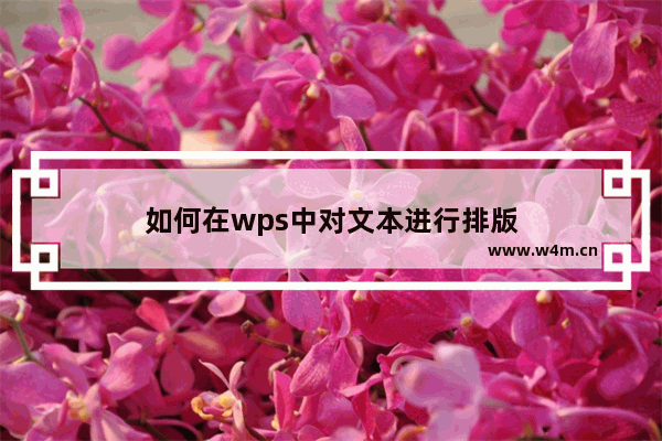 如何在wps中对文本进行排版