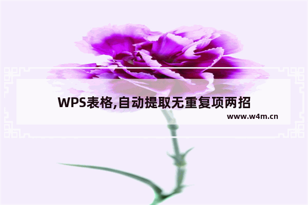 WPS表格,自动提取无重复项两招