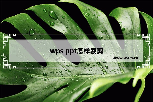 wps ppt怎样裁剪