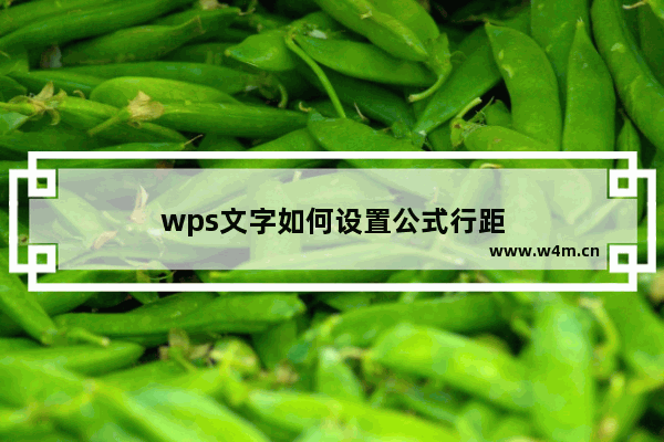 wps文字如何设置公式行距