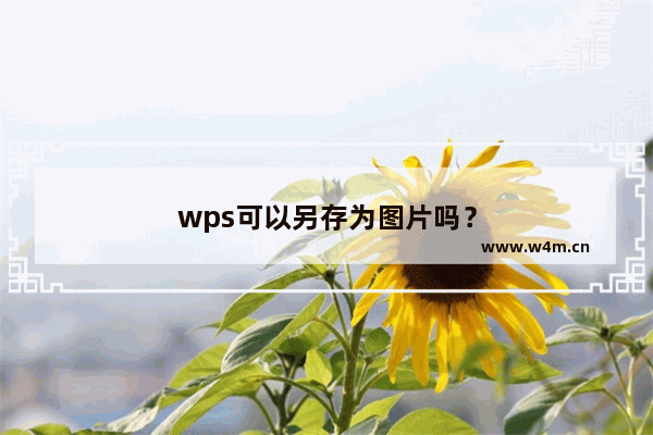 wps可以另存为图片吗？