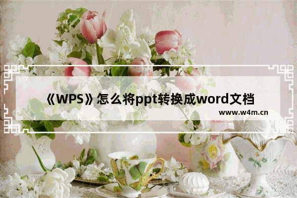 《WPS》怎么将ppt转换成word文档