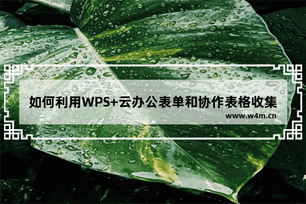 如何利用WPS+云办公表单和协作表格收集员工身体健康状况信息？