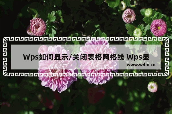 Wps如何显示/关闭表格网格线 Wps显示/关闭表格网格线的方法