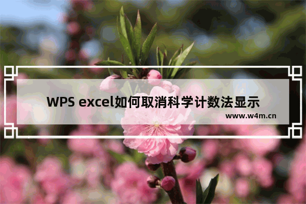 WPS excel如何取消科学计数法显示