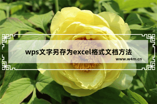 wps文字另存为excel格式文档方法