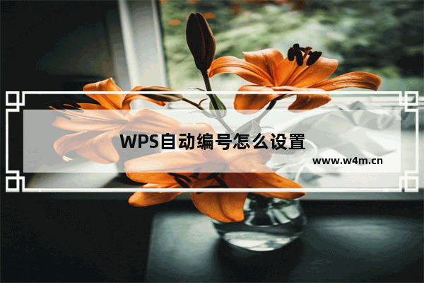 WPS自动编号怎么设置