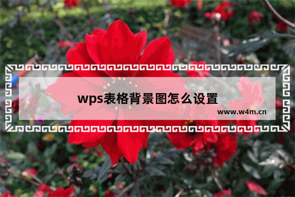 wps表格背景图怎么设置