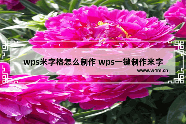 wps米字格怎么制作 wps一键制作米字格方法教程