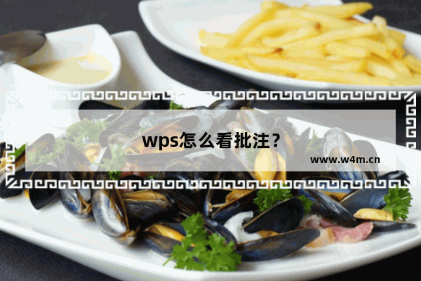 wps怎么看批注？