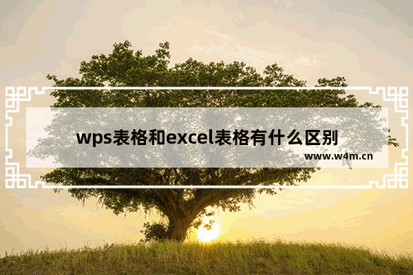 wps表格和excel表格有什么区别