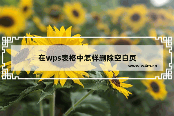 在wps表格中怎样删除空白页